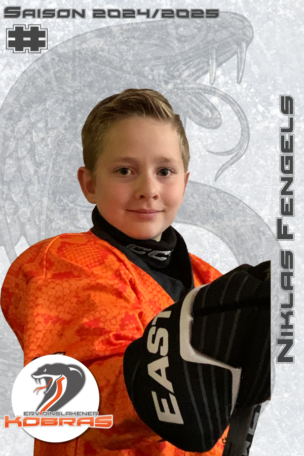 Player Card   2024 25   Nn   Niklas Fengels